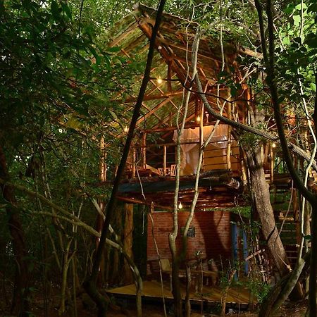 Back Of Beyond - Pidurangala Villa Sigiriya Dış mekan fotoğraf