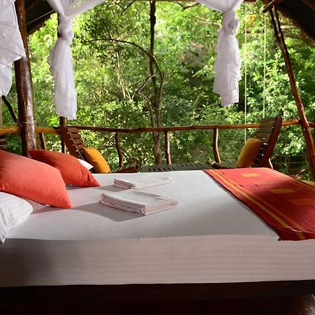 Back Of Beyond - Pidurangala Villa Sigiriya Dış mekan fotoğraf