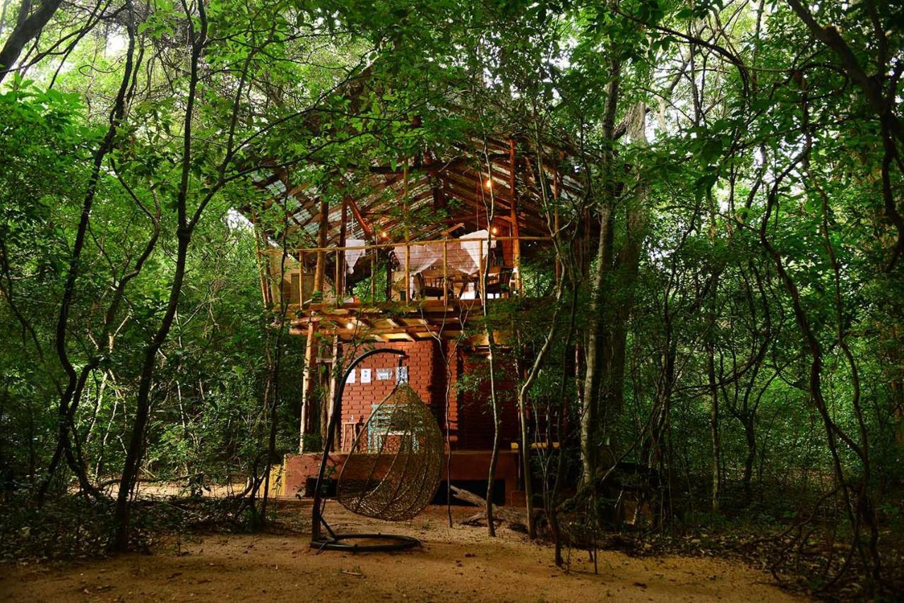 Back Of Beyond - Pidurangala Villa Sigiriya Dış mekan fotoğraf