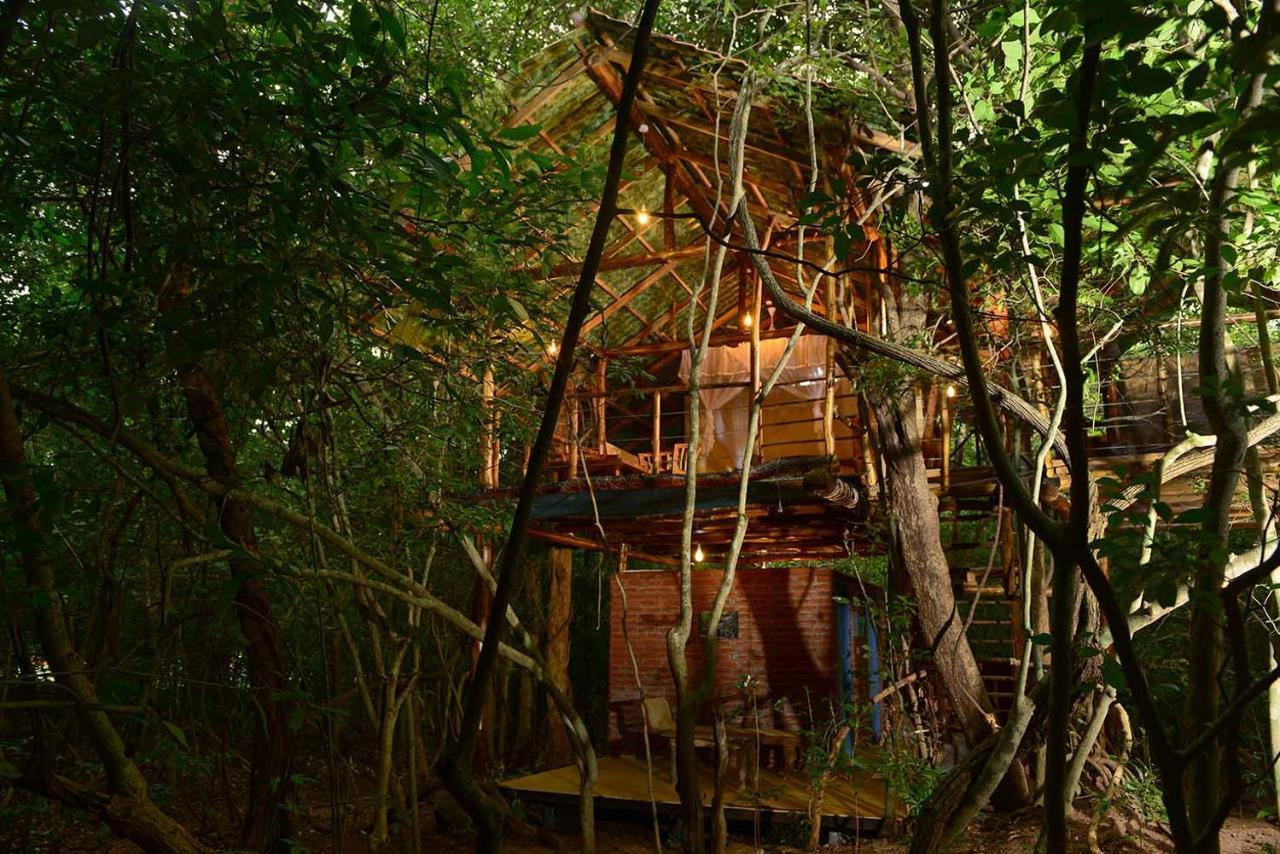Back Of Beyond - Pidurangala Villa Sigiriya Dış mekan fotoğraf