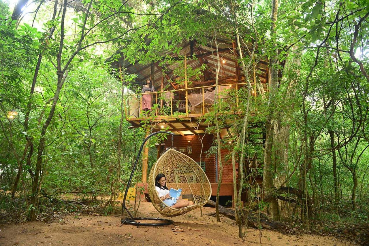 Back Of Beyond - Pidurangala Villa Sigiriya Dış mekan fotoğraf