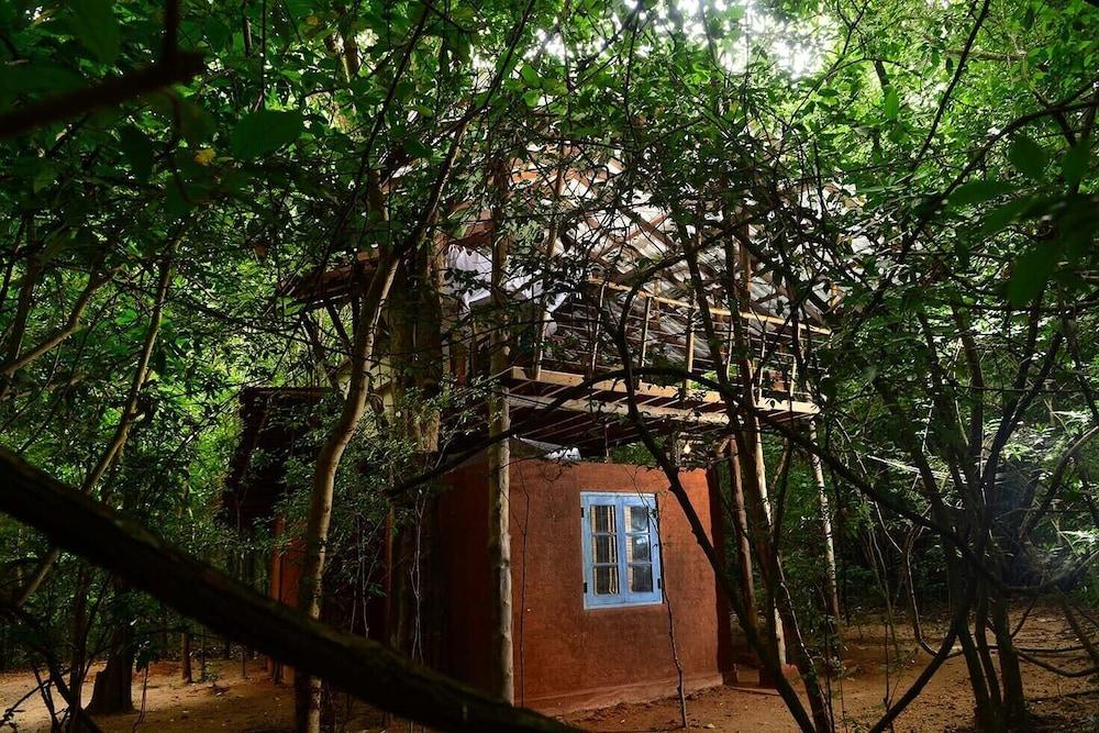 Back Of Beyond - Pidurangala Villa Sigiriya Dış mekan fotoğraf