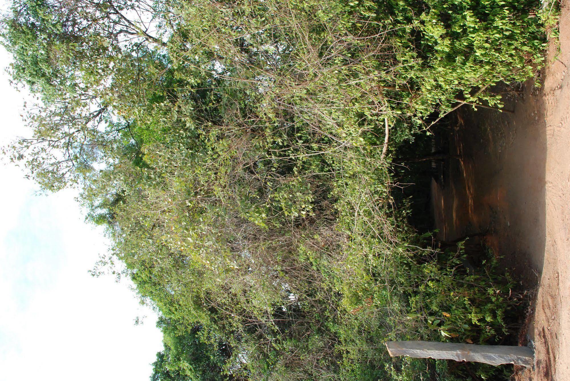 Back Of Beyond - Pidurangala Villa Sigiriya Dış mekan fotoğraf
