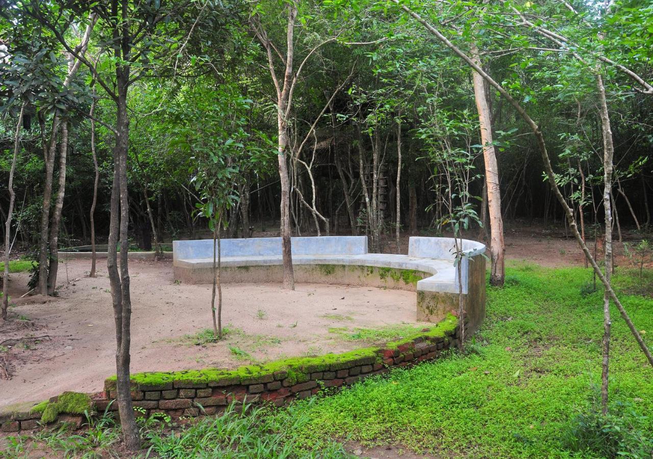 Back Of Beyond - Pidurangala Villa Sigiriya Dış mekan fotoğraf