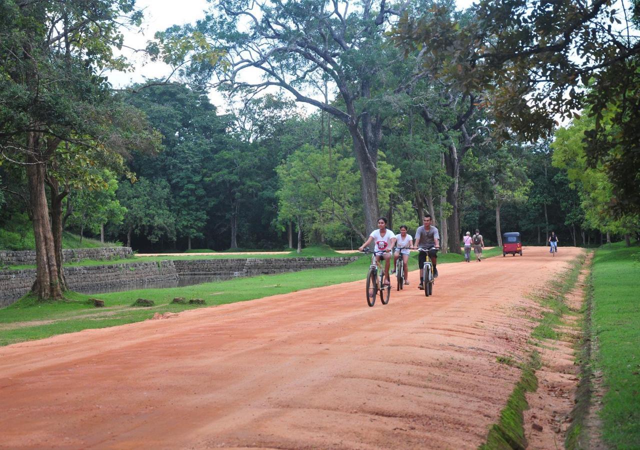Back Of Beyond - Pidurangala Villa Sigiriya Dış mekan fotoğraf