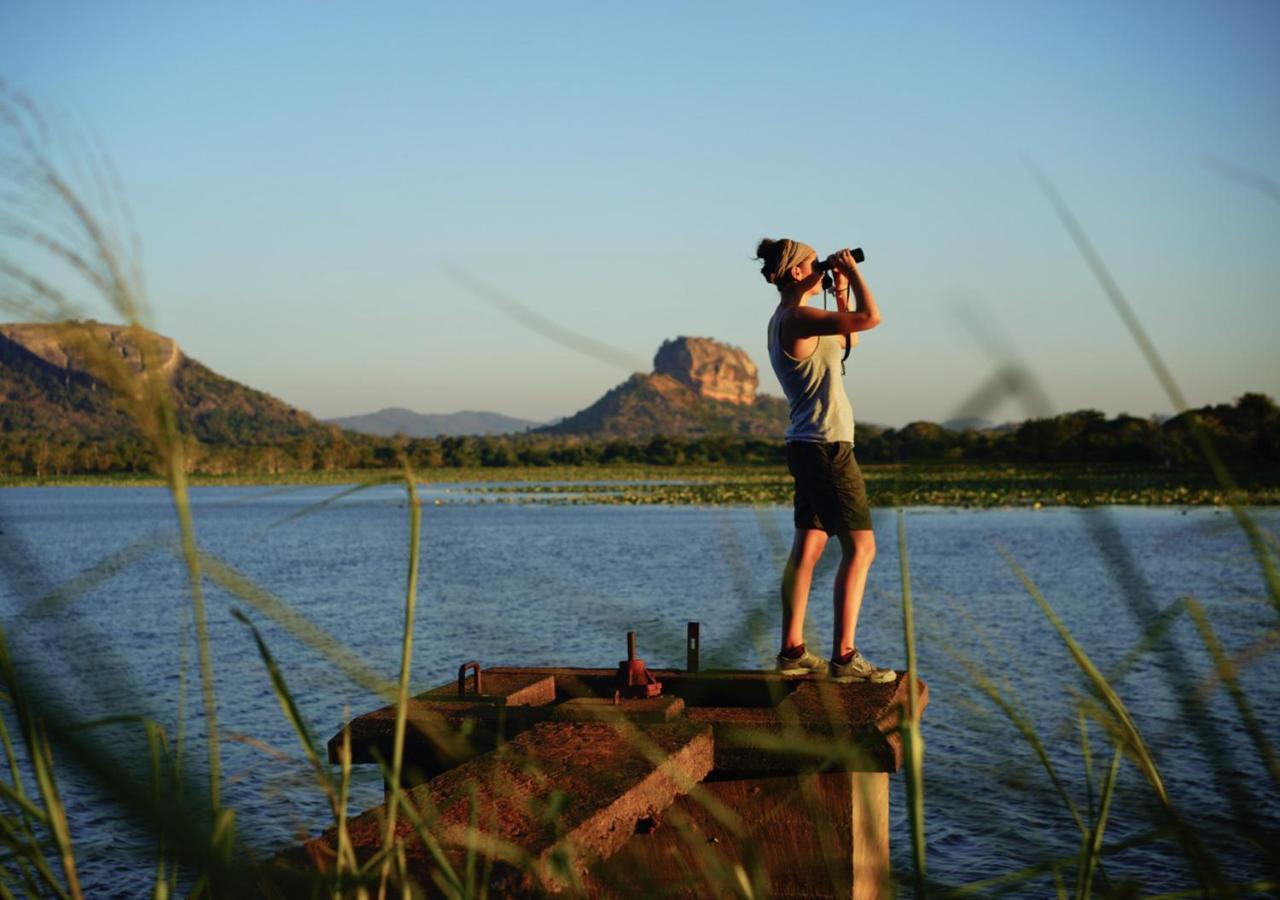 Back Of Beyond - Pidurangala Villa Sigiriya Dış mekan fotoğraf