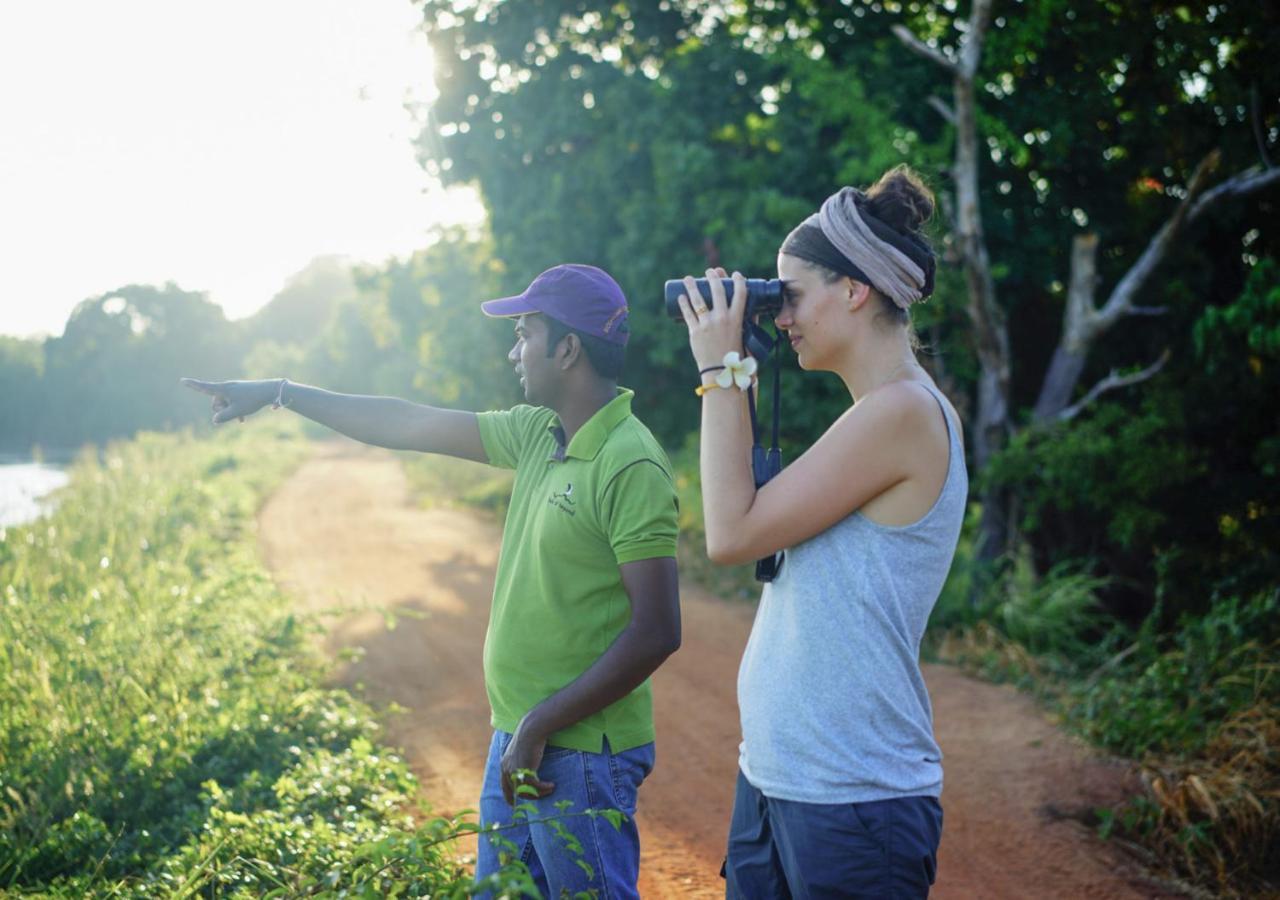 Back Of Beyond - Pidurangala Villa Sigiriya Dış mekan fotoğraf